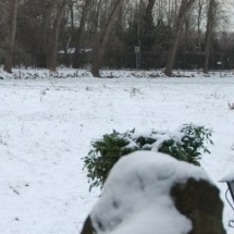 Charmehotel De stokerij te Oudenburg, West-Vlaanderen - Overnachten nabij Brugge, Oostende en De Haan